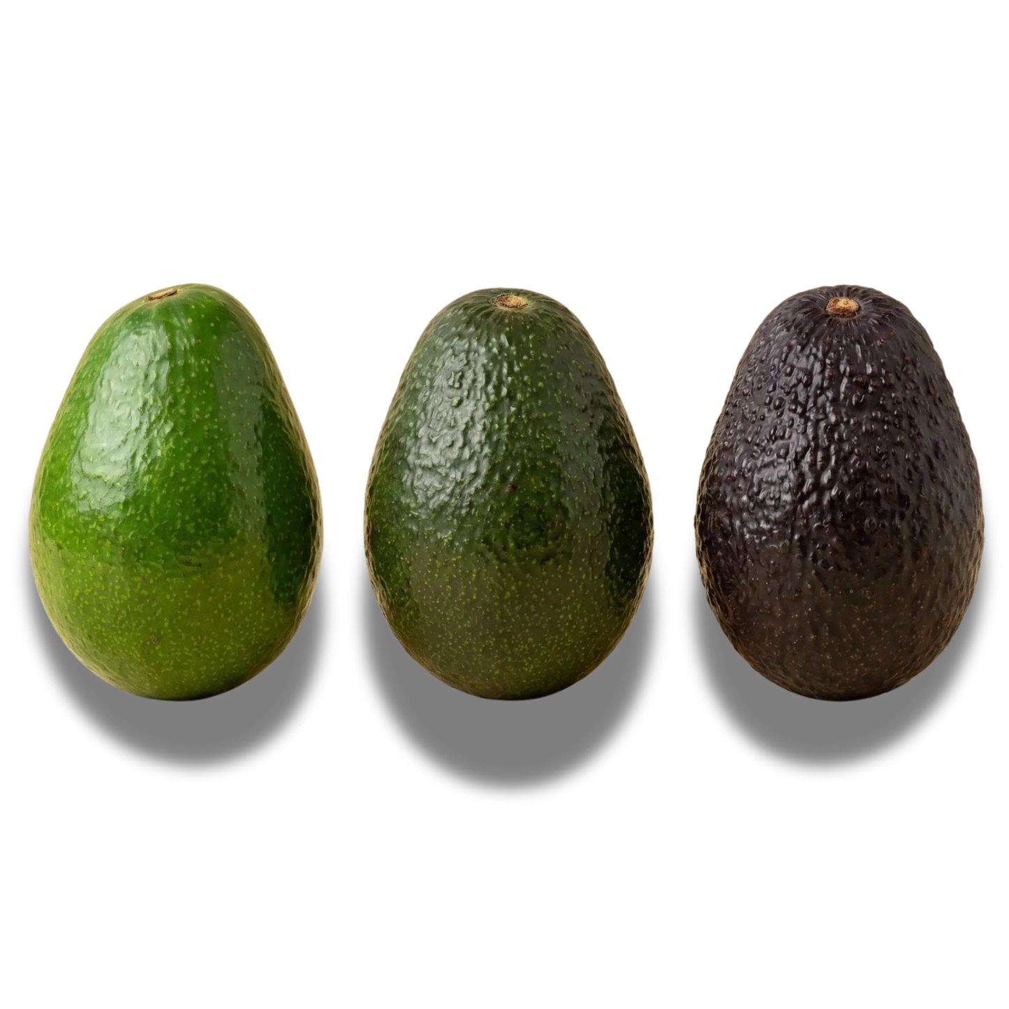 Palta Hass 1 KG a Domicilio | Para Madurar en Casa.
